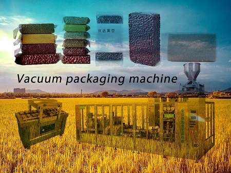 Two vacuum packaging machines to solve your problem
